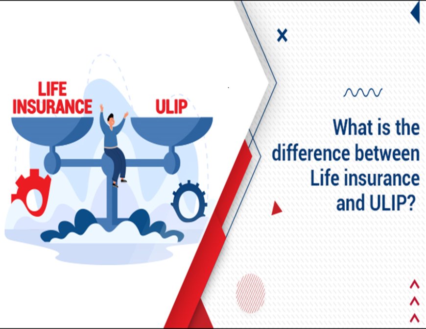 Life Insurance 101: Term vs. Whole Life vs. ULIPs in India