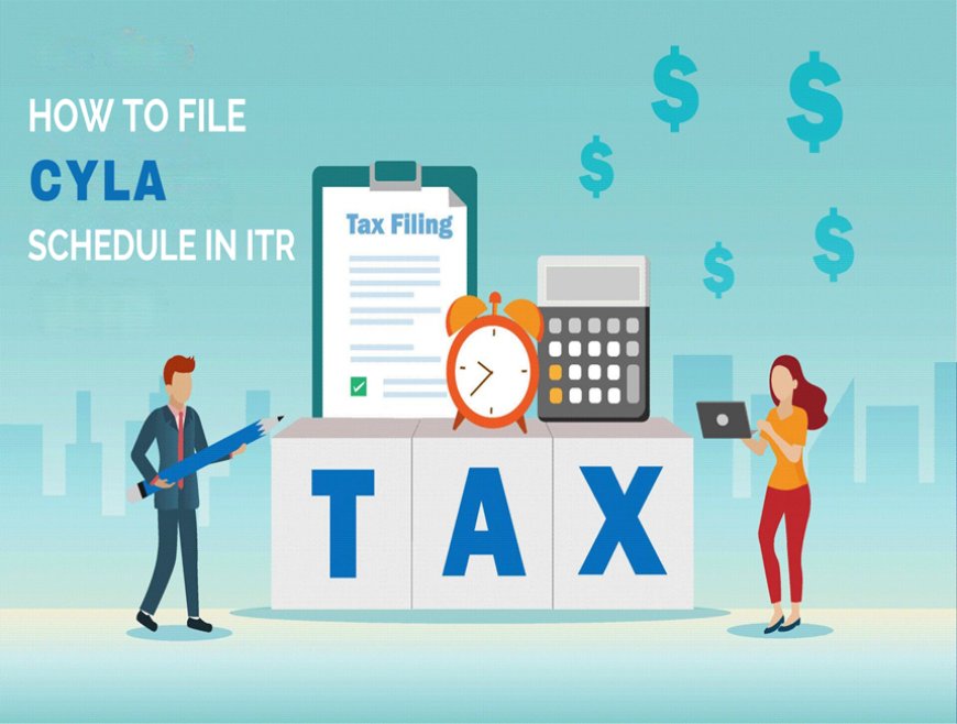 Confused About Schedule CYLA? Tax Loss Filing Made Easy